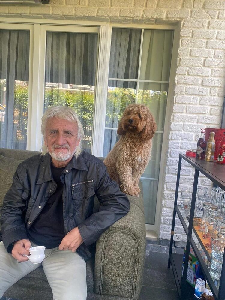 ���������� ������, ���� ������� ���������, 66 ���, ������������ ��� ������, ����� � ���������