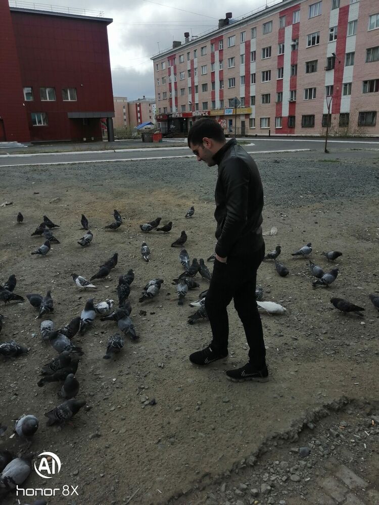 ���������� ��������, ���� ������� �������, 31 ���, ������������ ��� ������