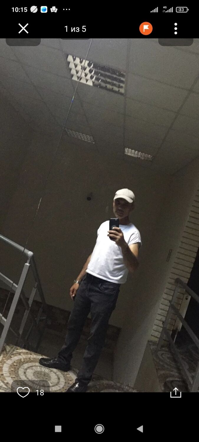  49590886  , 48 ,    