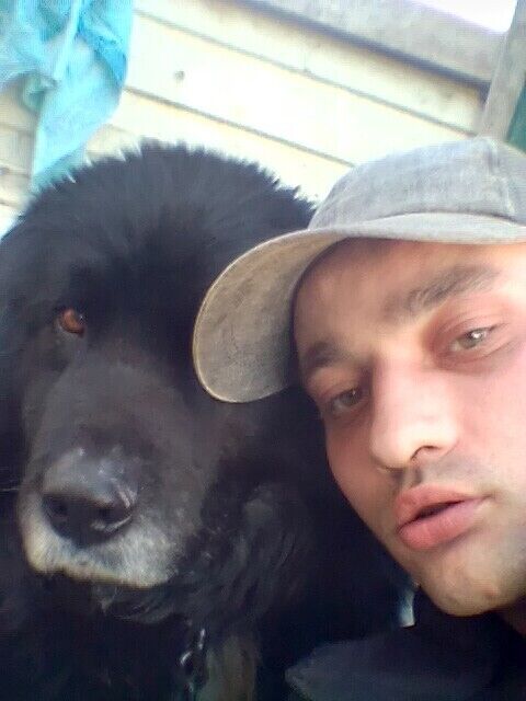 ���� 30064386 ������� Vova, 38 ���, ���� ���������� � ������