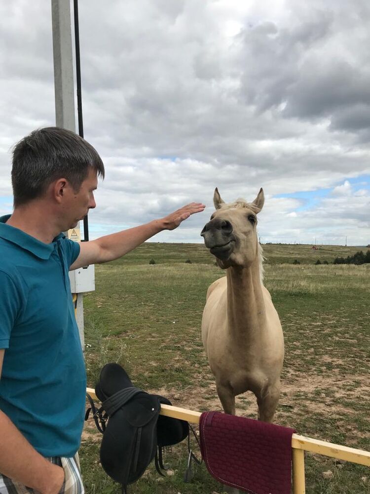 ���������� ������, ���� ������� ���������, 45 ���, ������������ ��� ������, ����� � ���������, c�������� ���������, ���������