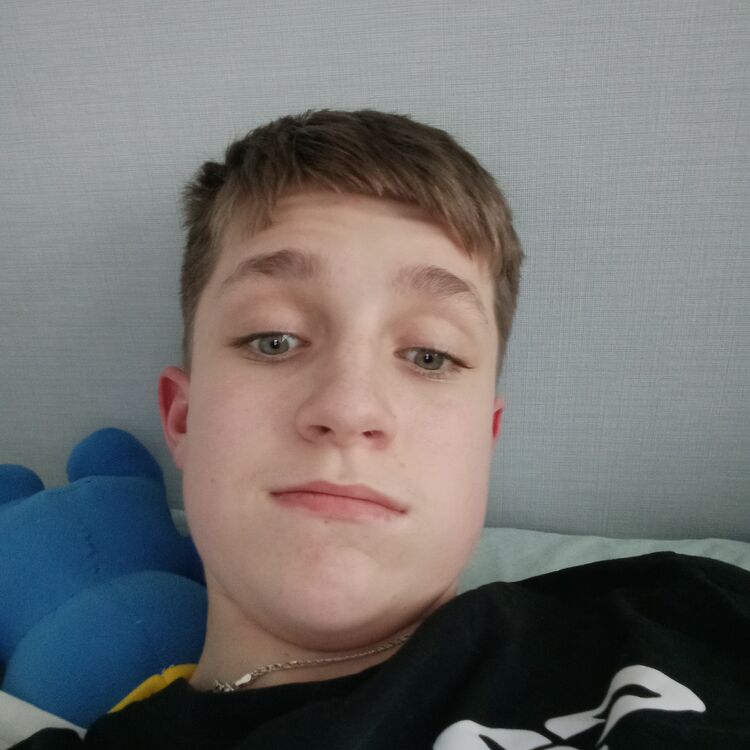  43367136  , 51 ,    -