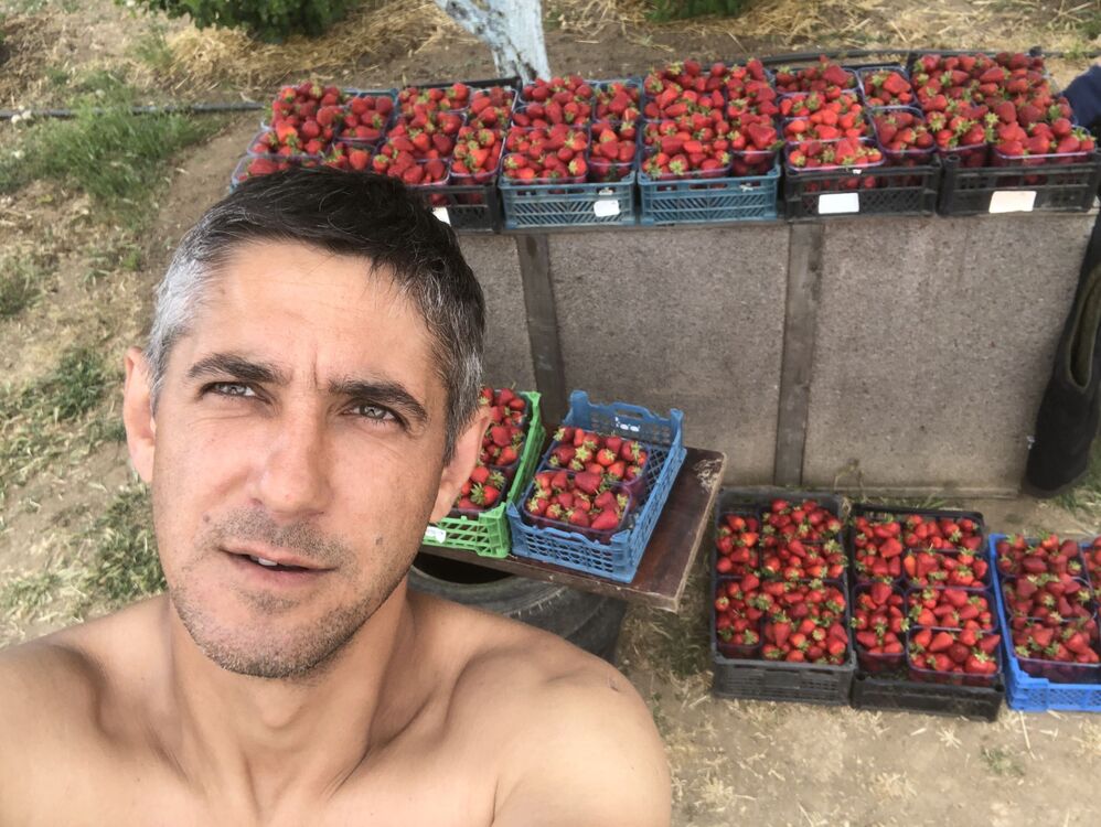 ���������� ������, ���� ������� �����, 45 ���, ������������ 