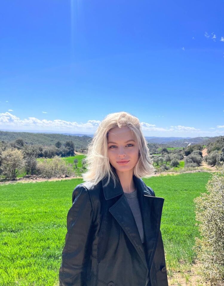  38022096  , 29 ,    --