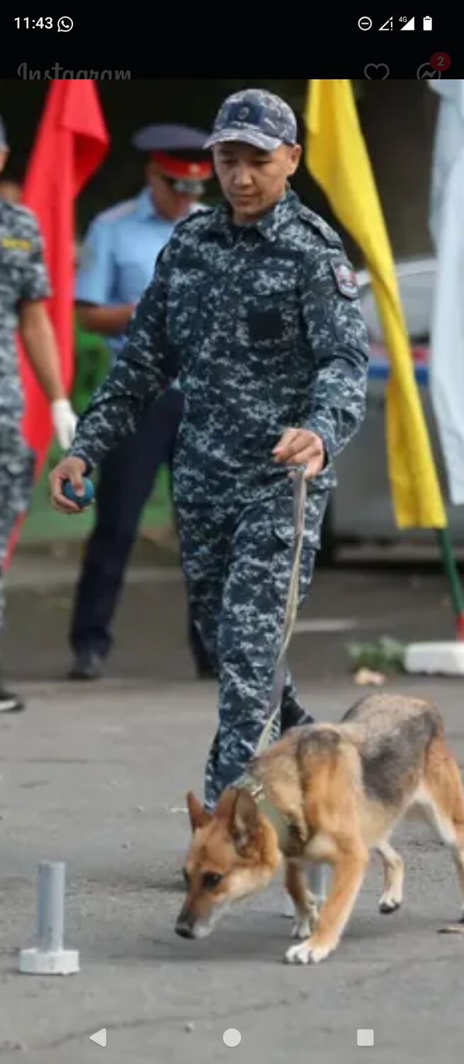  52776496  Sultan, 31 ,    -