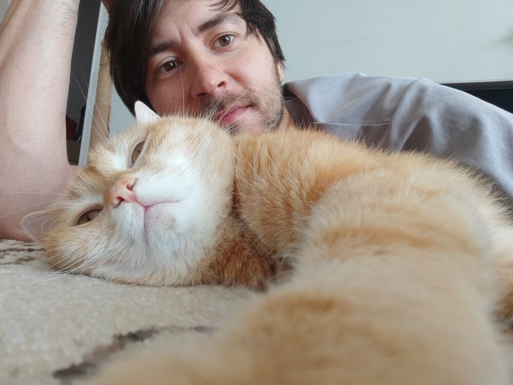 ���������� �����-���������, ���� ������� �����, 34 ����, ������������ ��� ������, ����� � ���������