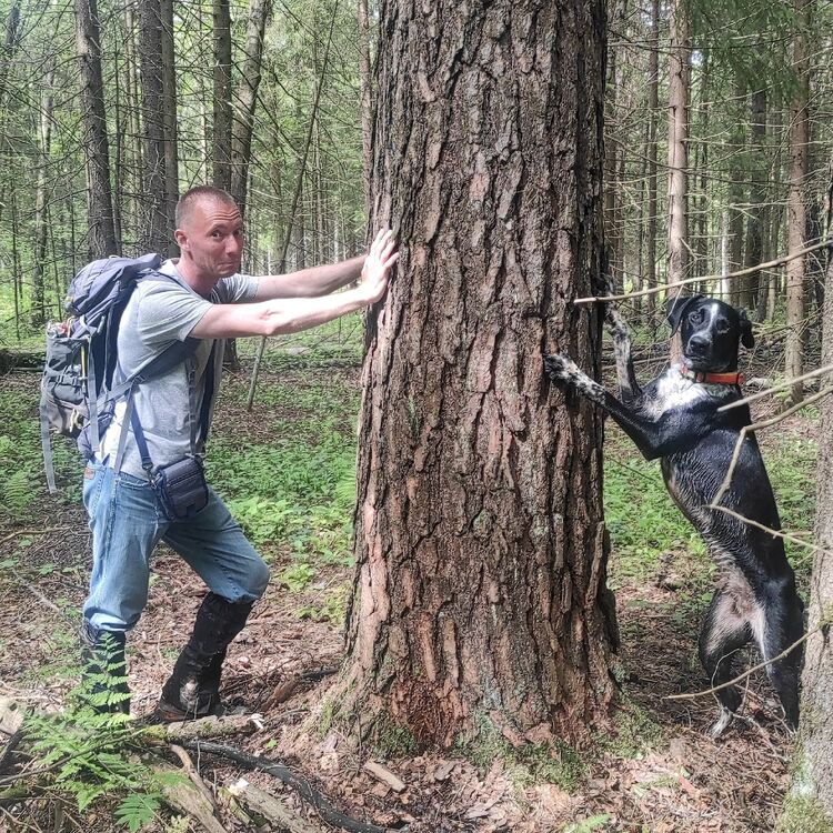 ���������� ������, ���� ������� ���������, 43 ����, ������������ ��� ����� � ���������, c�������� ���������