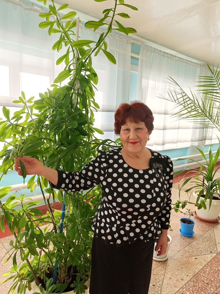 ���� 56022016 ������� ����, 67 ���, ���� ���������� � ������������