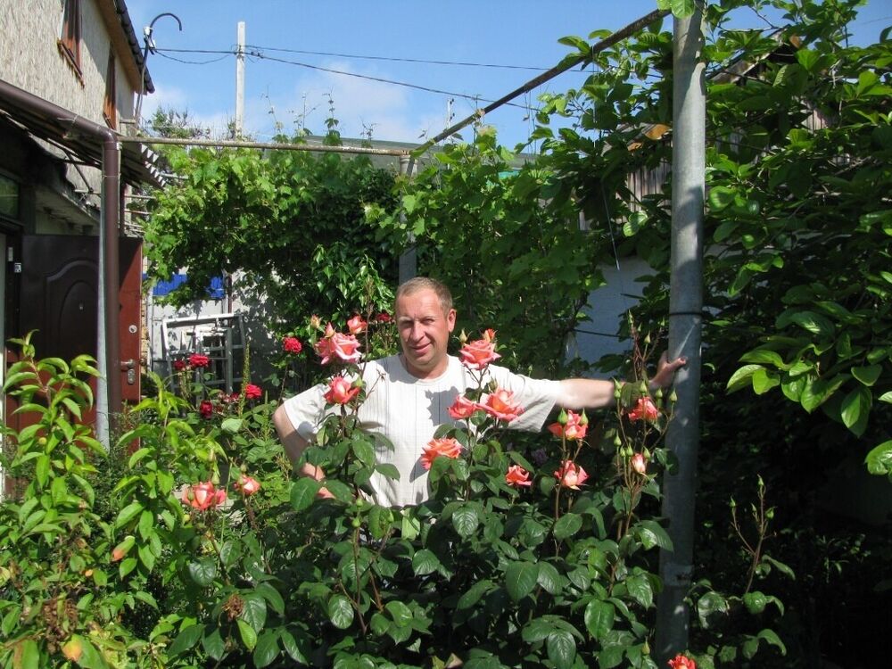 ���������� �����������, ���� ������� ��������, 50 ���, ������������ ��� ������, ����� � ���������, c�������� ���������