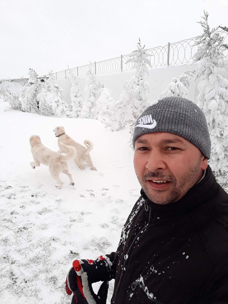 ���� 27953776 ������� ����, 41 ���, ���� ���������� � ������