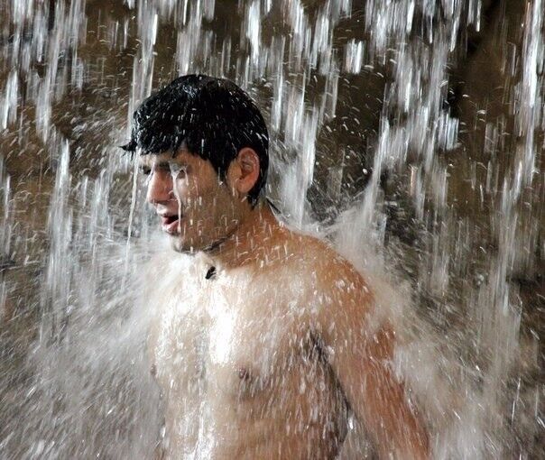 ���� 4188506 ������� David, 36 ���, ���� ���������� � �������