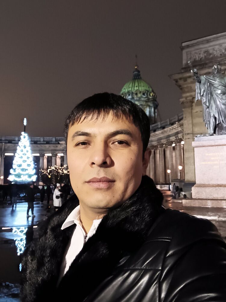  31782826  , 33 ,    -