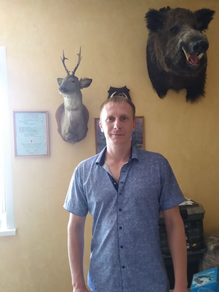  40394336  , 39 ,    -