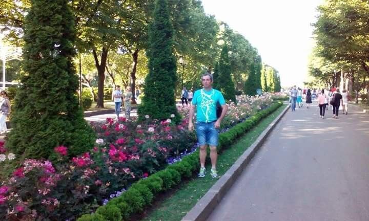  ,   Milosdrago, 50 ,   ,   , c 