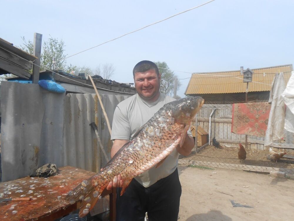 ���� 11197776 ������� ���, 44 ����, ���� ���������� � ������