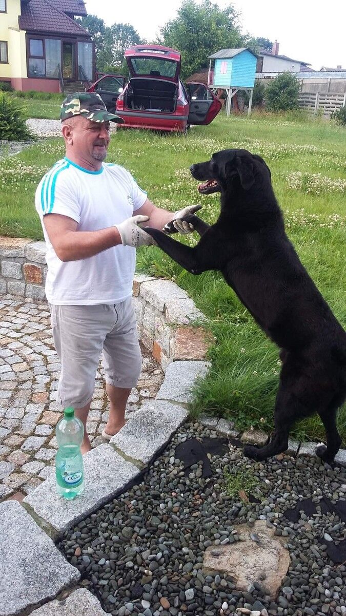  Bielany Wroclawskie,   Daniel, 62 ,   ,   , c 