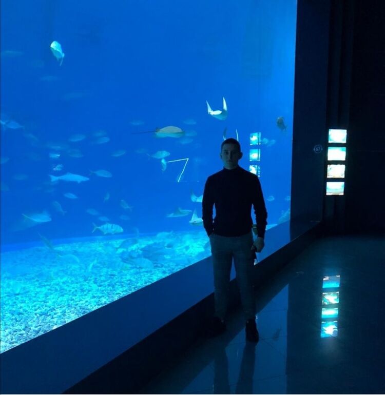 ���� 24356656 ����� ���������, 24 ����, ���� ���������� � ����-����������