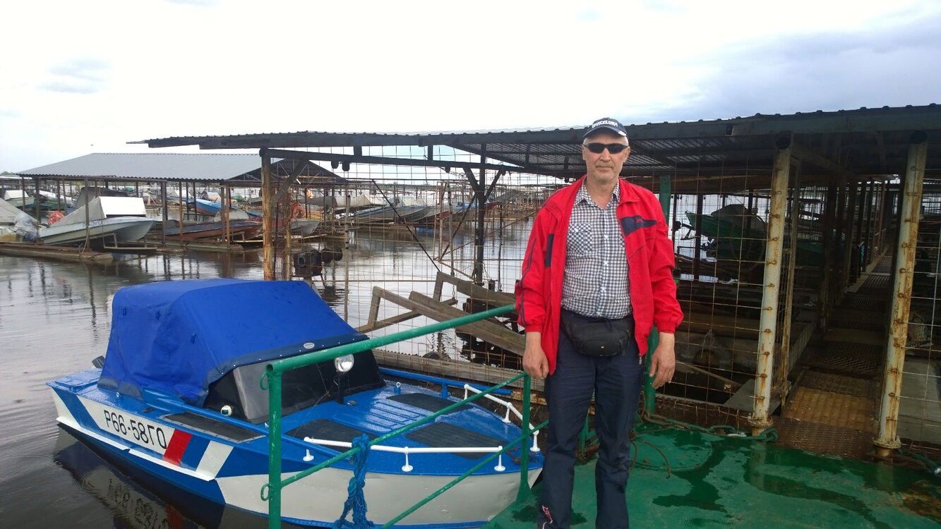 ���� 55248056 ������� �������, 56 ���, ���� ���������� � ������ ���������