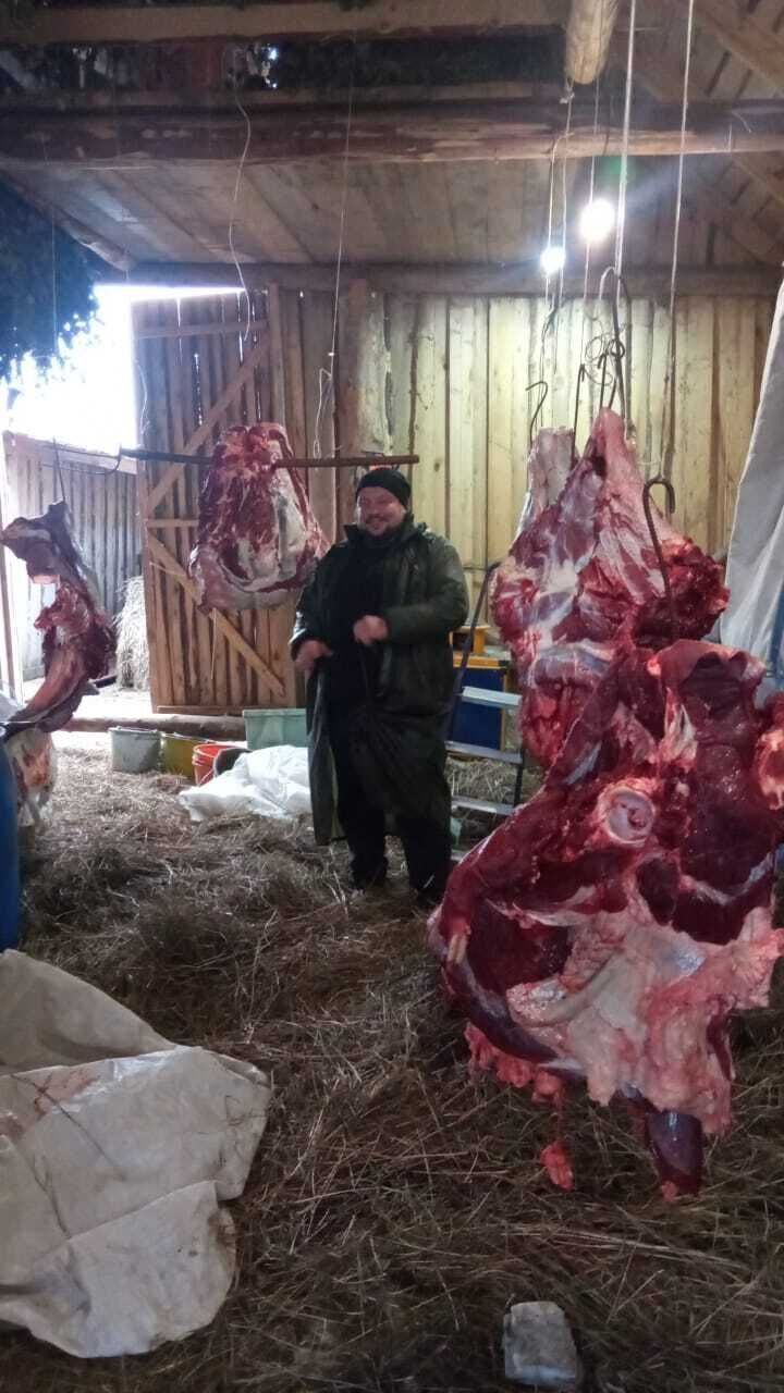 ���������� ������, ���� ������� �����, 48 ���, ������������ ��� ������