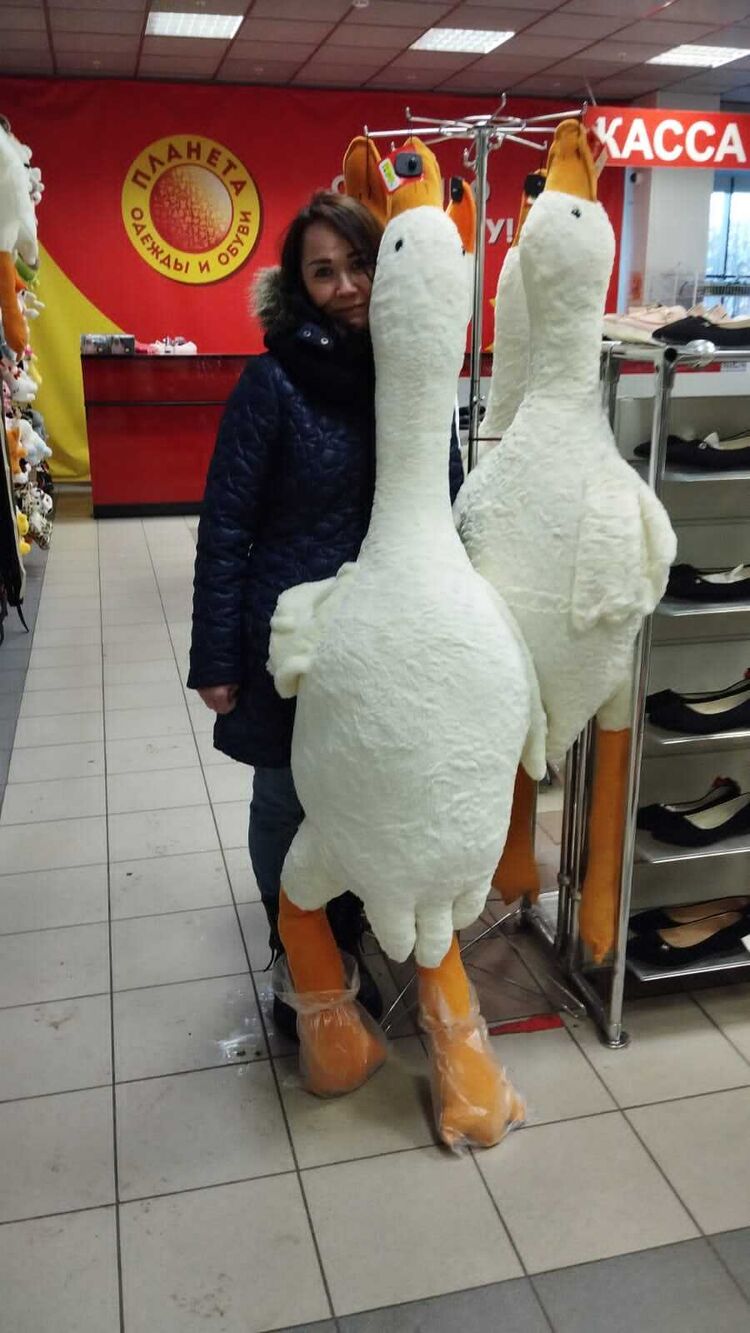  -,   , 41 ,   ,   