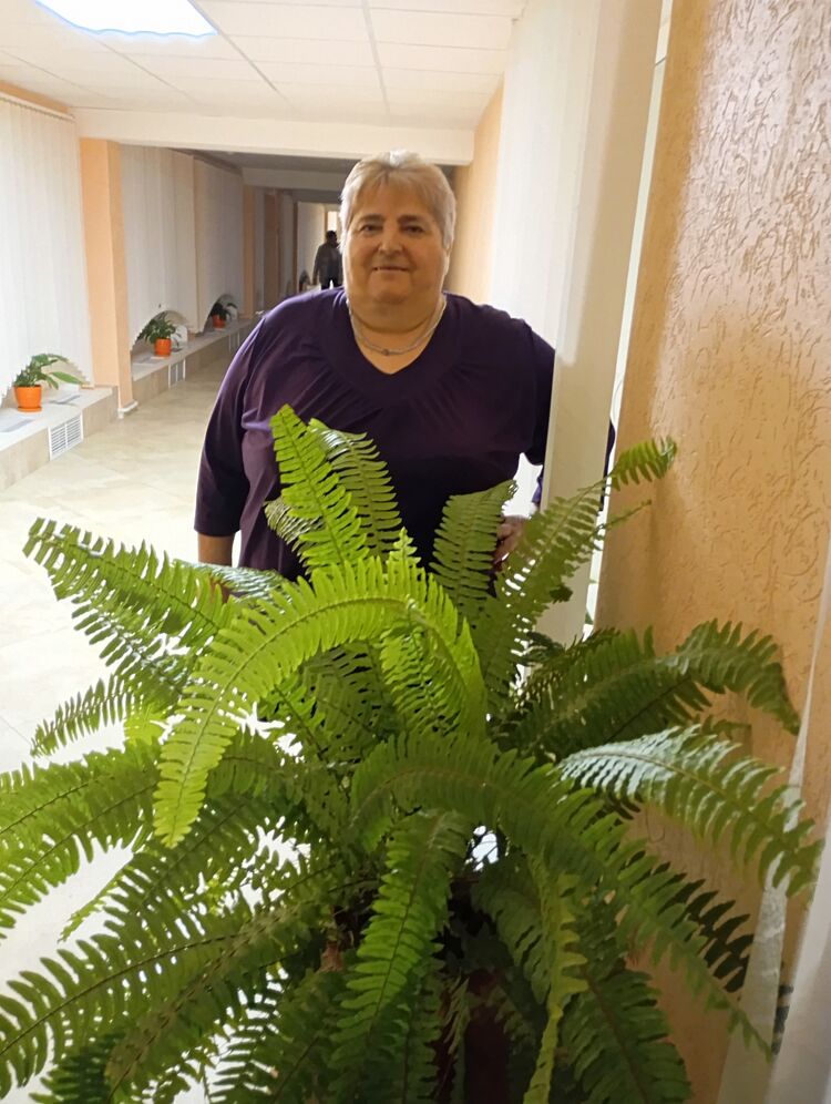 ���� 56024066 ������� �������, 64 ����, ���� ���������� � ������