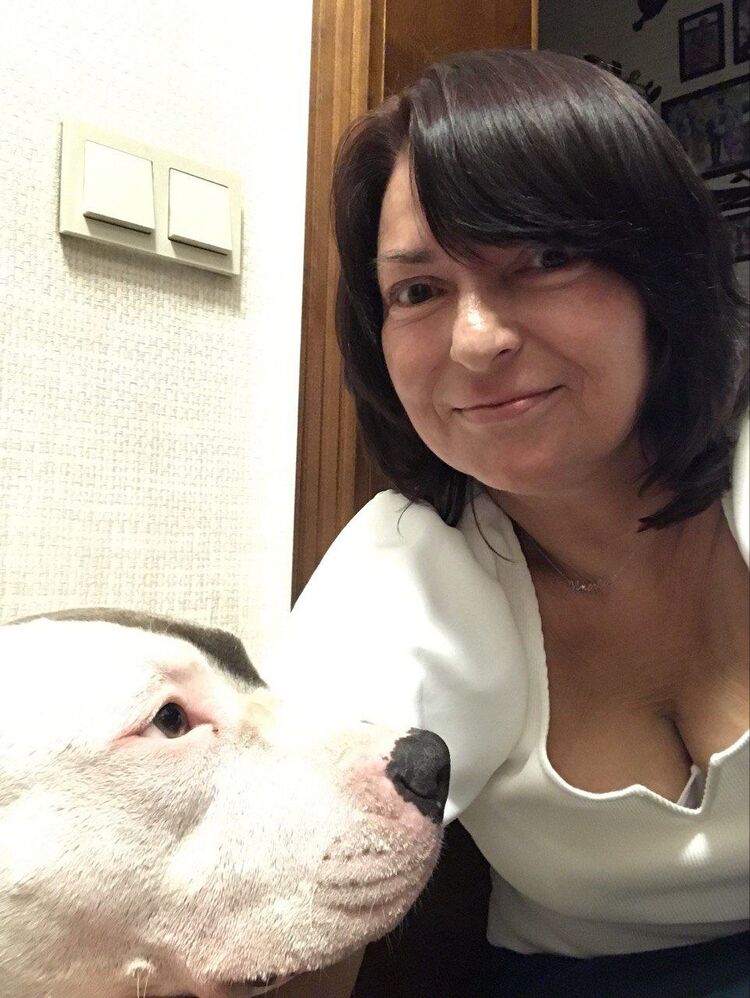 ���� 52975886 ������� �������, 49 ���, ���� ���������� � �����-����������