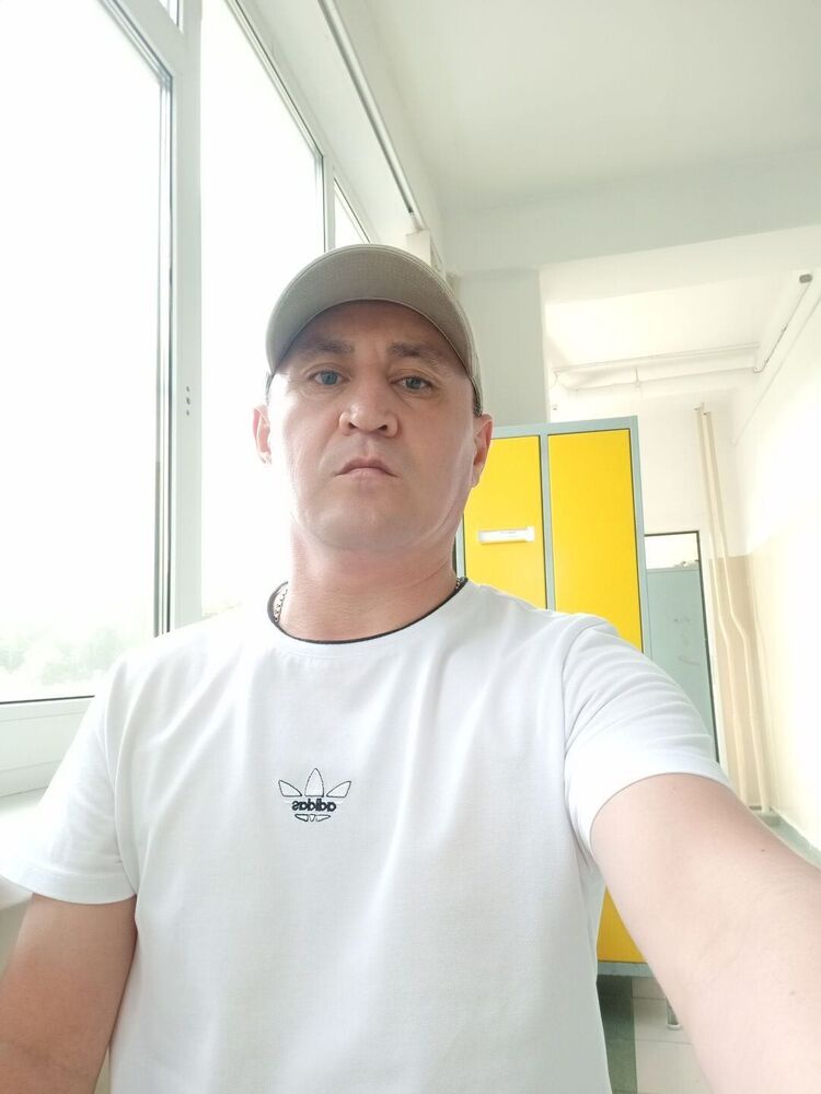  52775966  , 43 ,    