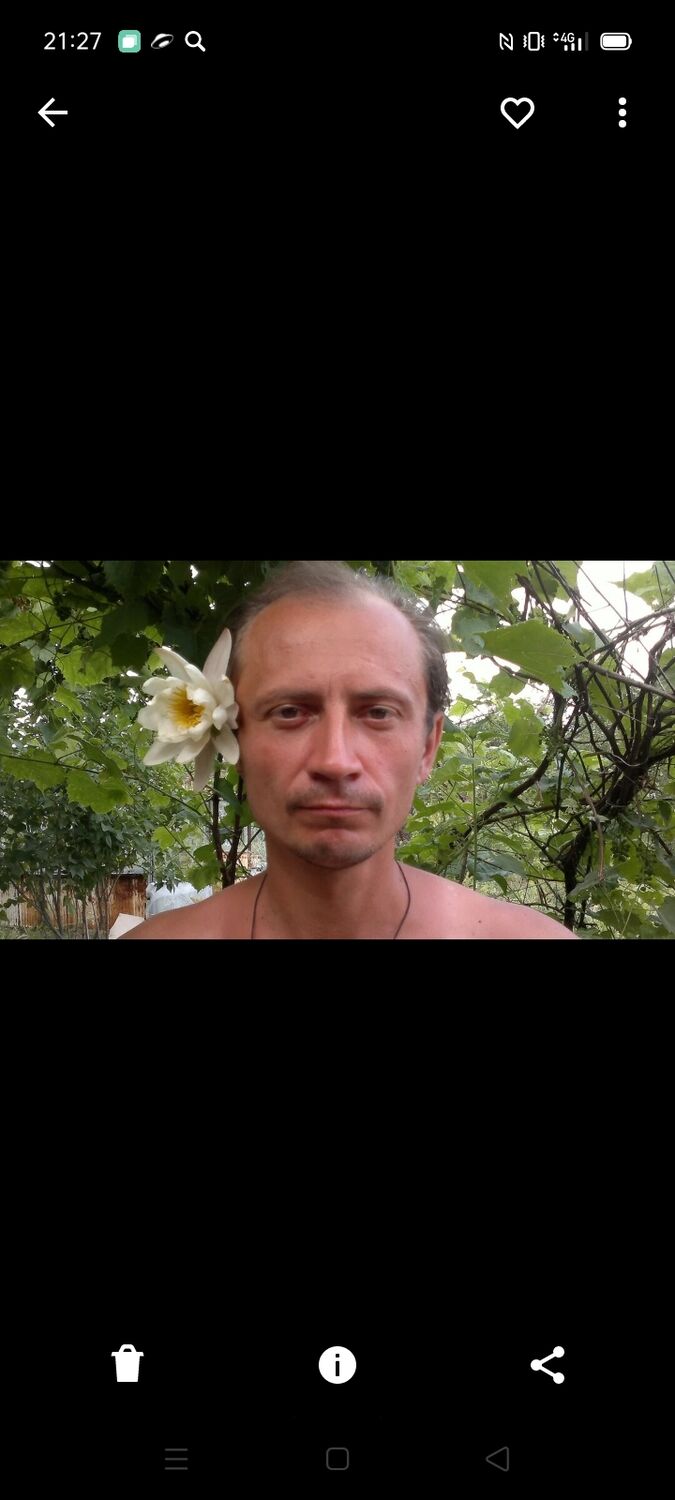  24355766  , 43 ,    