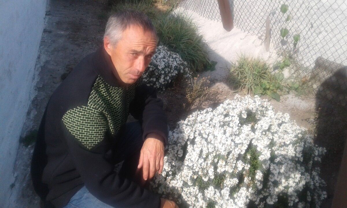  ,   Zenchik, 51 ,   ,   , c 