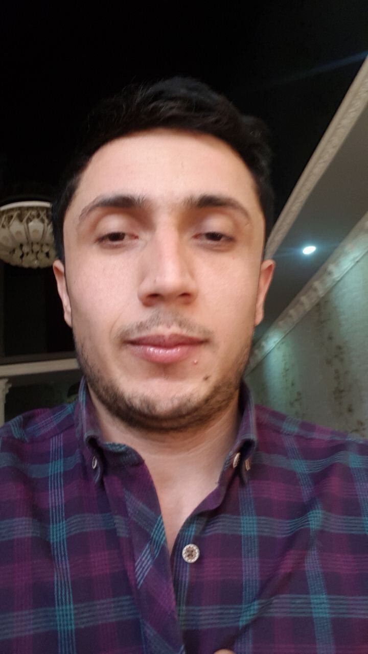  33978326  , 31 ,    