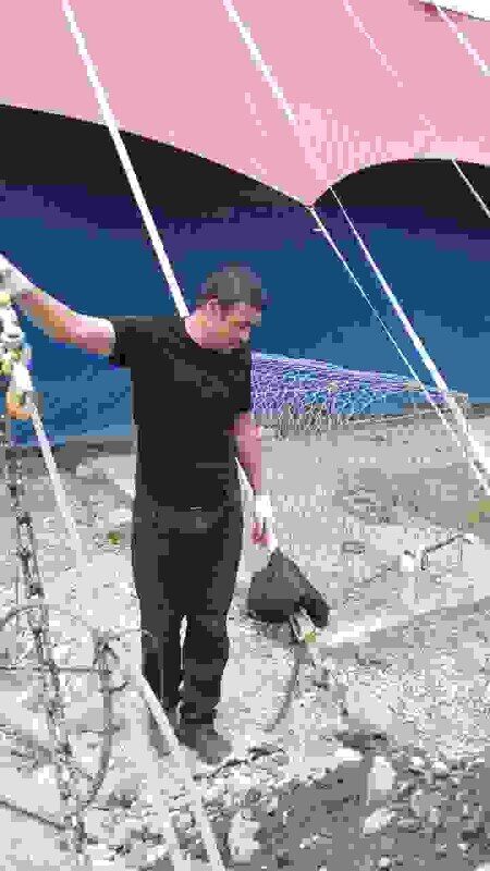 ���� 43534386 ������� ���������, 37 ���, ���� ���������� � ����