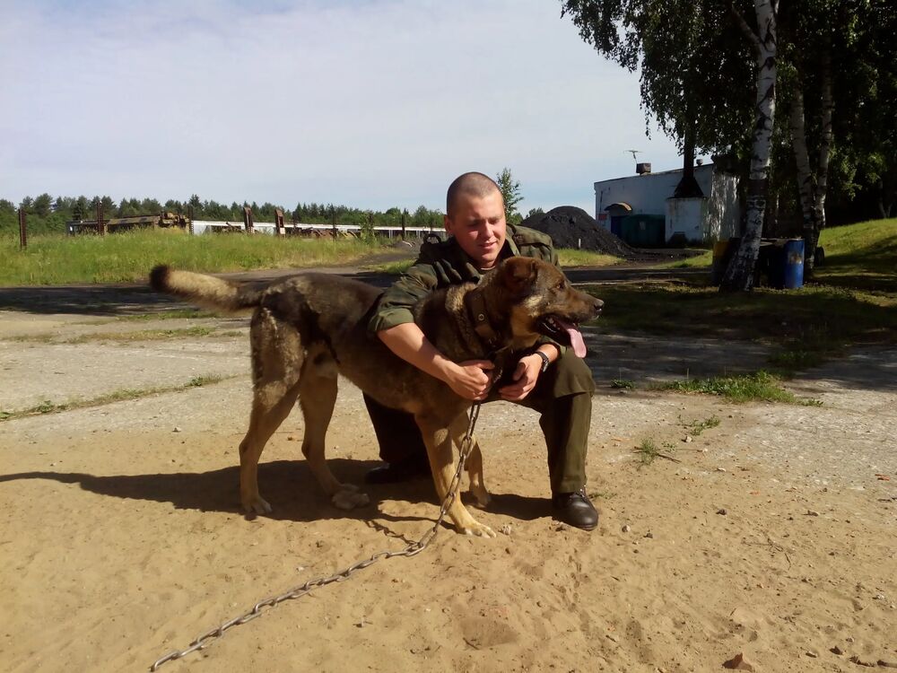 ���� 55147706 ������� �������, 27 ���, ���� ���������� � ��������