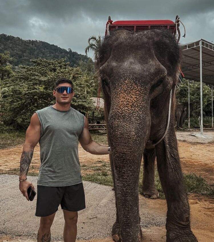 ���������� ������, ���� ������� ���������, 29 ���, ������������ ��� ������, ����� � ���������, c�������� ���������