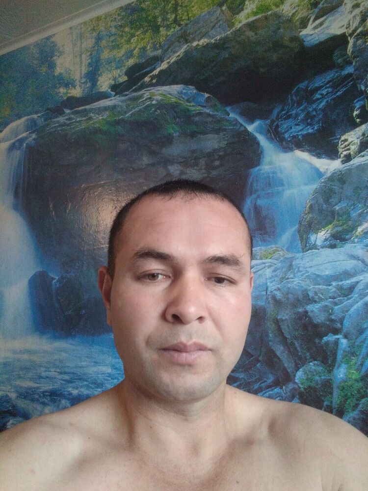  21649266  , 43 ,    