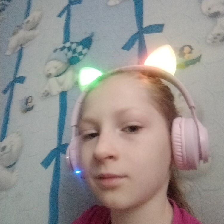 ���� 24810666 ������� ����, 22 ����, ���� ���������� � ������