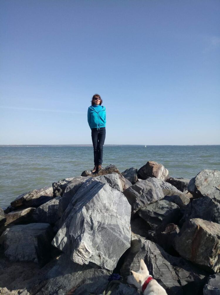  ,   , 61 ,  