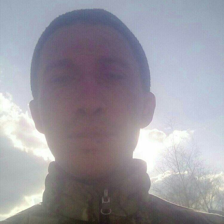  31485656  , 29 ,    