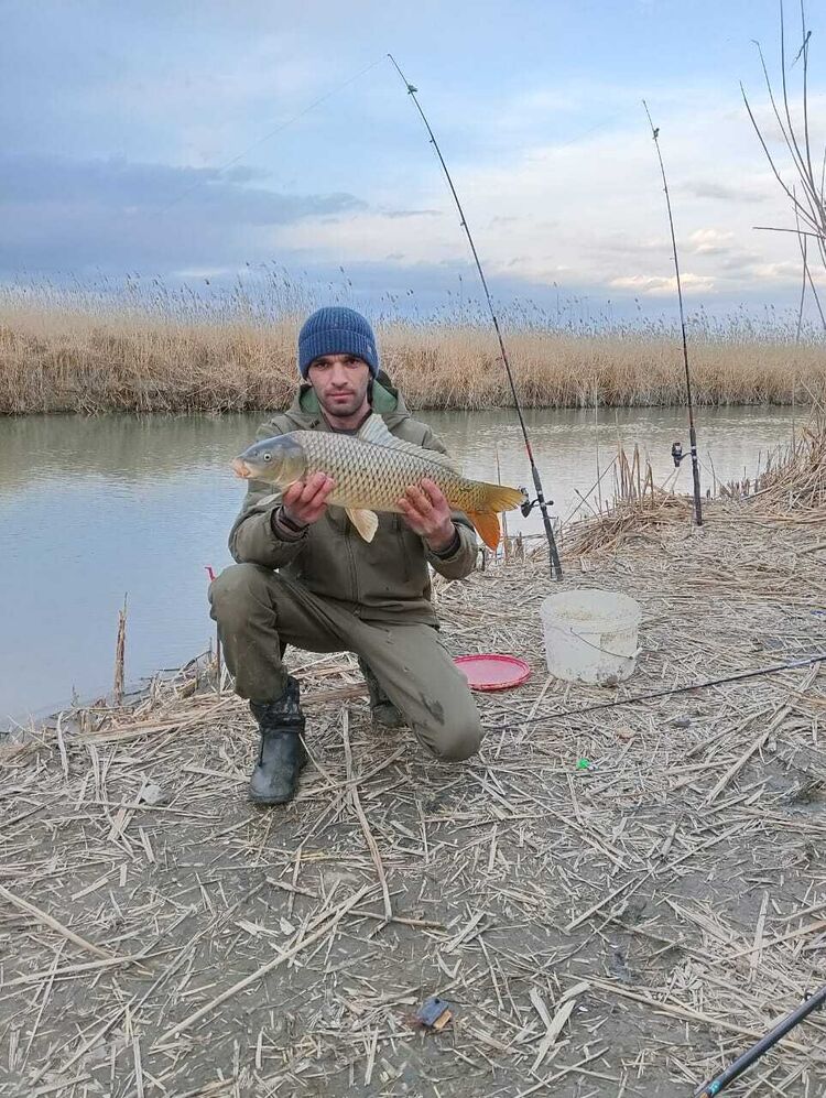 ���������� ����� �������, ���� ������� ���, 34 ����, ������������ ��� ������, ����� � ���������, c�������� ���������