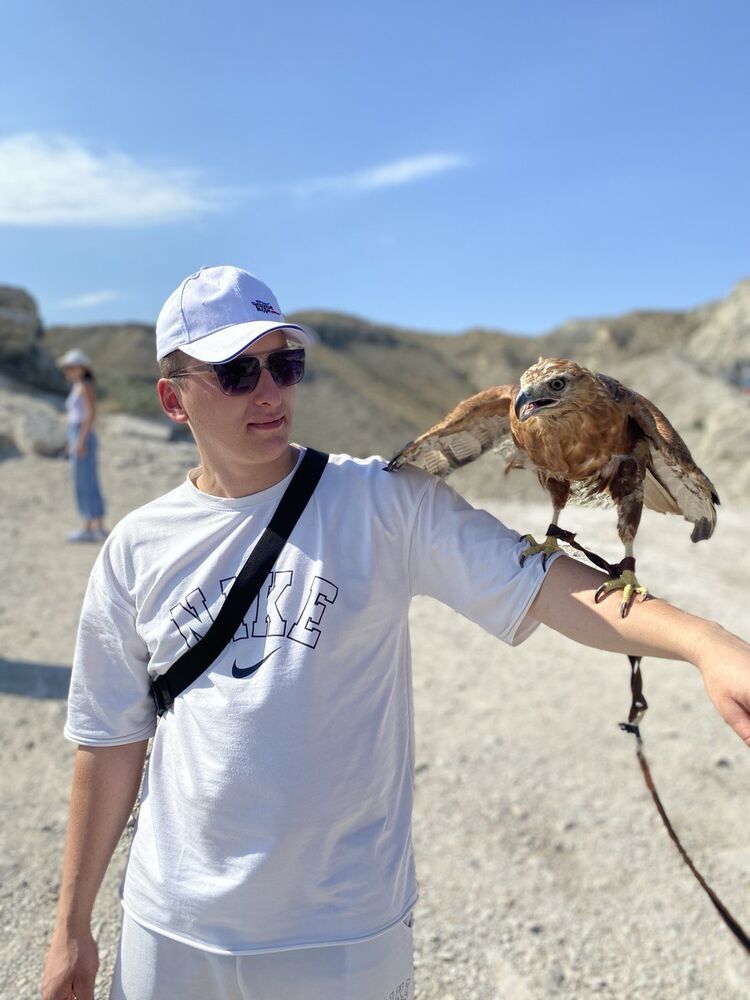 ���� 38388206 ����� �����, 24 ����, ���� ���������� � �����