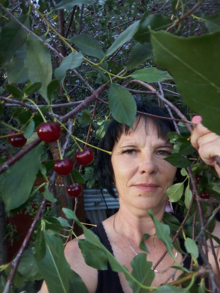 ���� 52799086 ������� �����, 45 ���, ���� ���������� � ����-������������