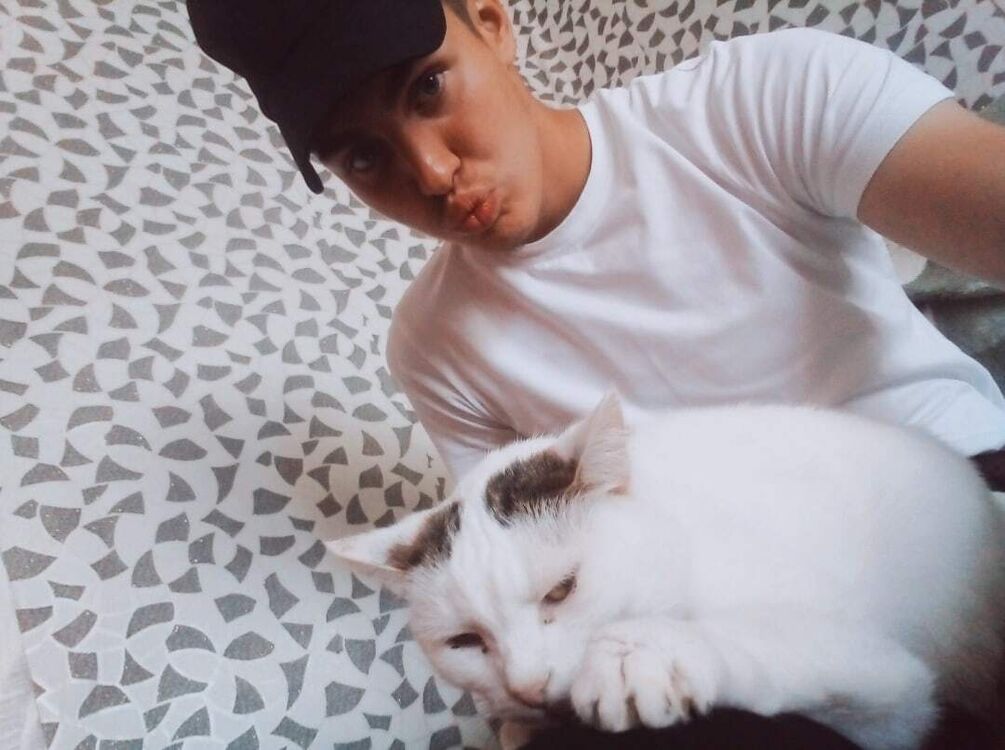 ���������� ���������, ���� ����� Is�am�uk, 22 ����, ������������ ��� ������, ����� � ���������