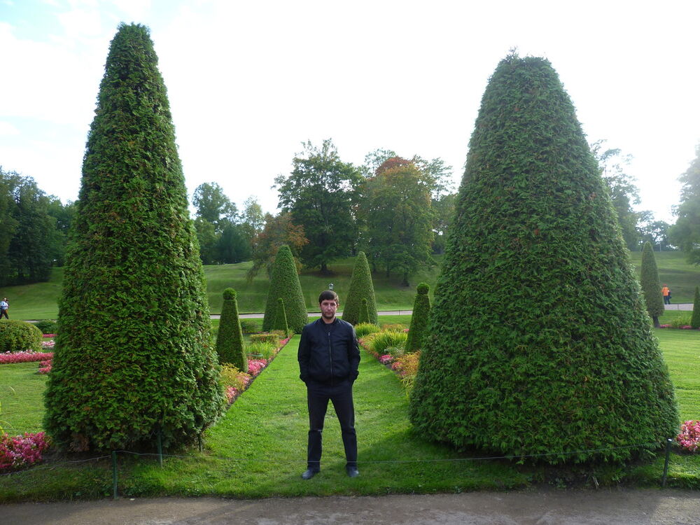 ���������� ����, ���� ������� ����, 44 ����, ������������ ��� ������, ����� � ���������, c�������� ���������