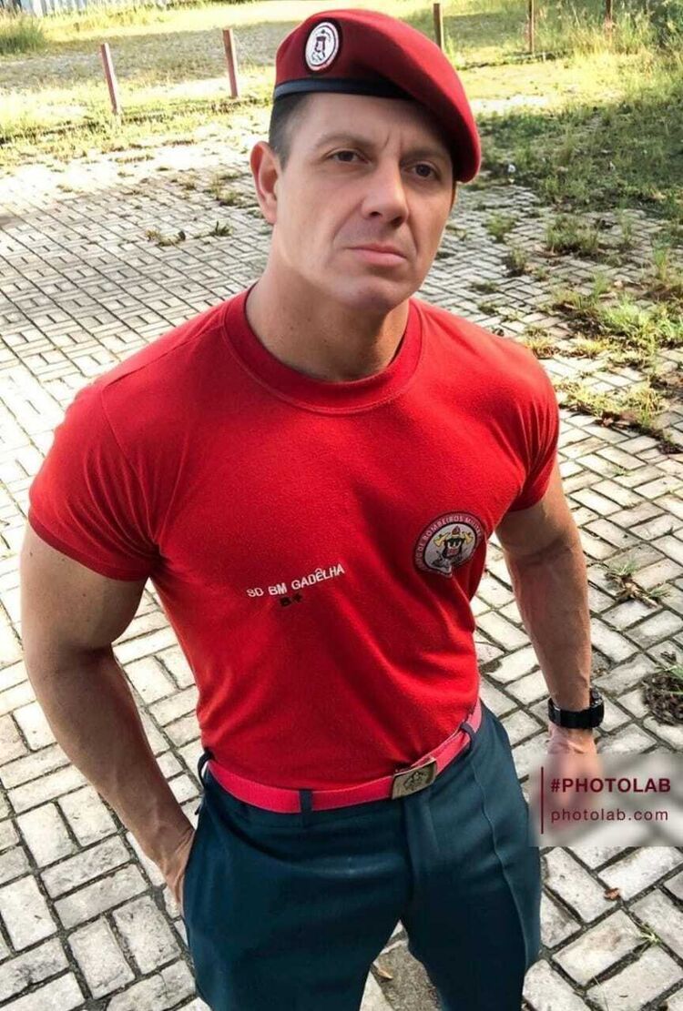  54044226  , 61 ,    -