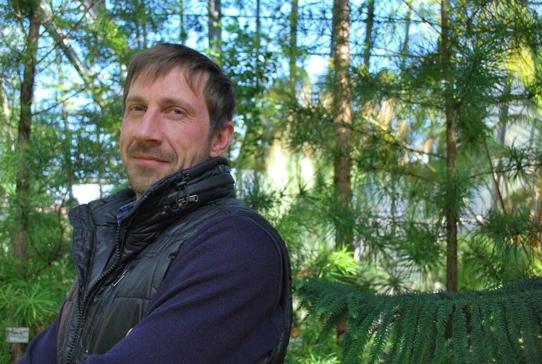 ���������� �����-���������, ���� ������� �������, 51 ���, ������������ ��� ����� � ���������, c�������� ���������