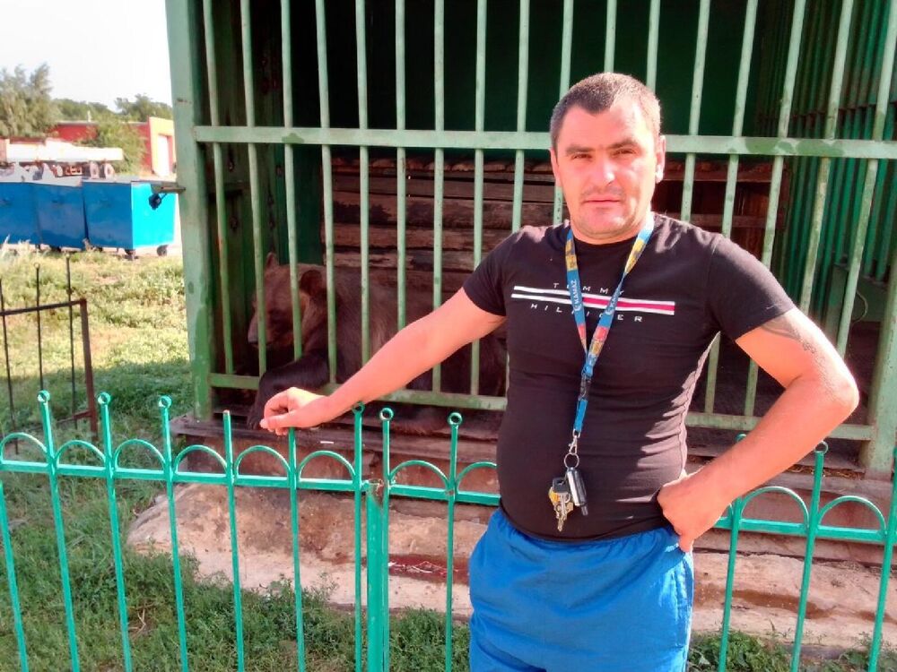 ���� 25390466 ������� ���������, 45 ���, ���� ���������� � ����������