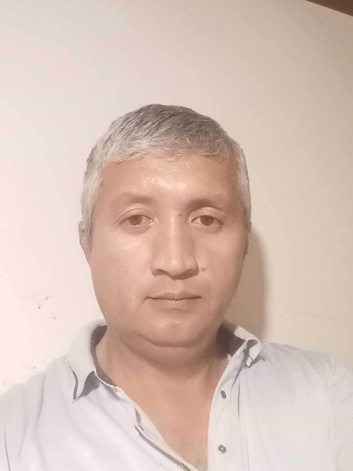 51348686  , 43 ,    
