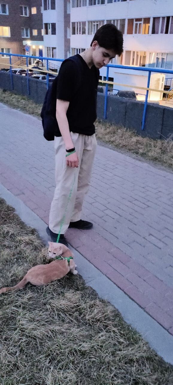  46744936  , 19 ,    