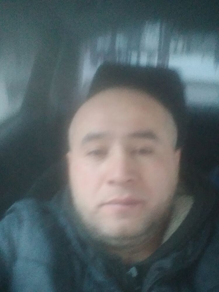  49058586  , 44 ,    