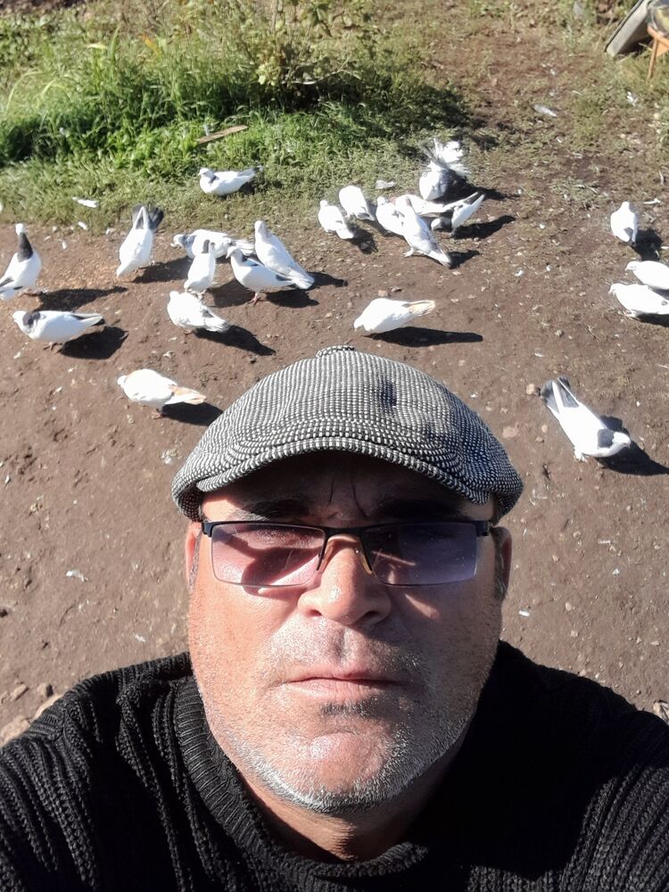  ,   , 43 ,   c 