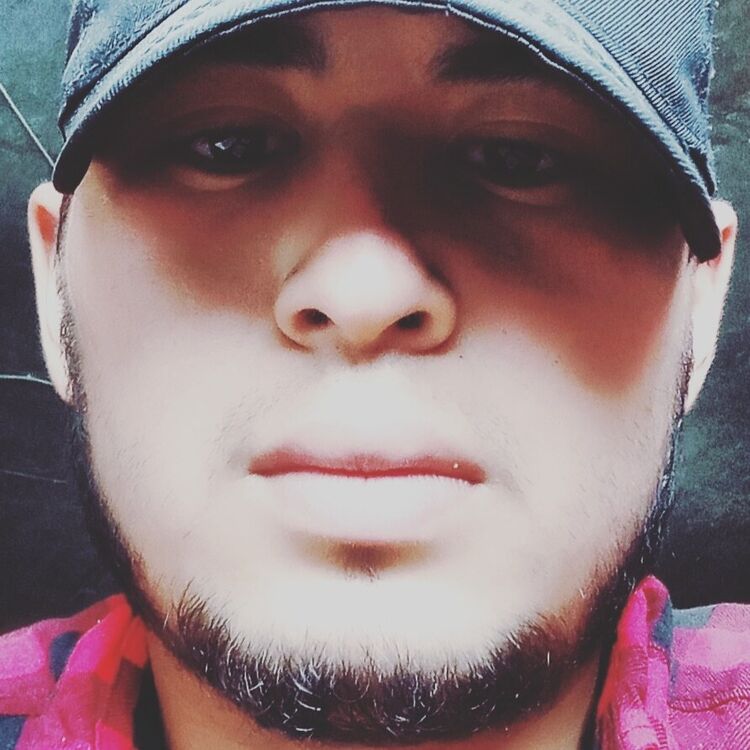 ���������� ���������, ���� ����� �����, 24 ����, ������������ 